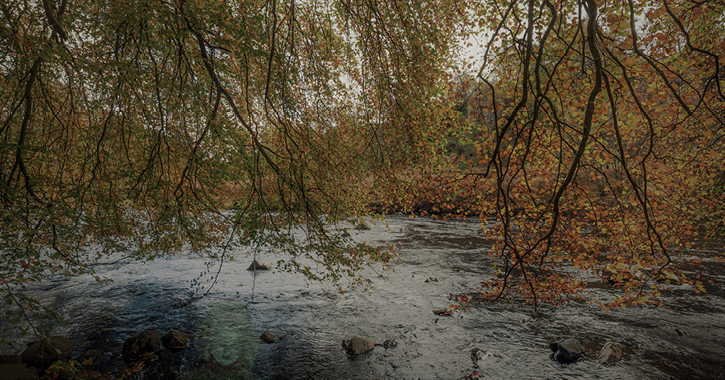 a ghostly face appearing in the water of the River Tees